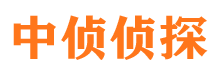 安岳市私家侦探